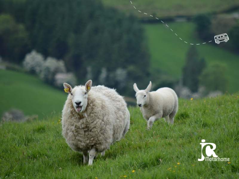 Location-camping-car-Belgique-Voyage-Irlande